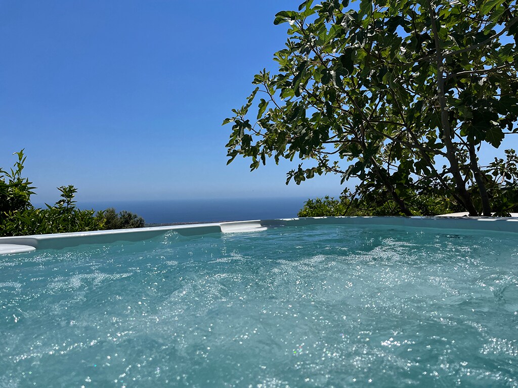 A shared mini-pool is shown, with clear water and bubbling surfaces, surrounded by lush greenery. The ocean stretches out in the background under a bright blue sky, creating a serene atmosphere for relaxation.