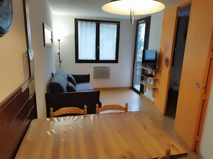 Appartement Vue Mont Blanc - Chamonix