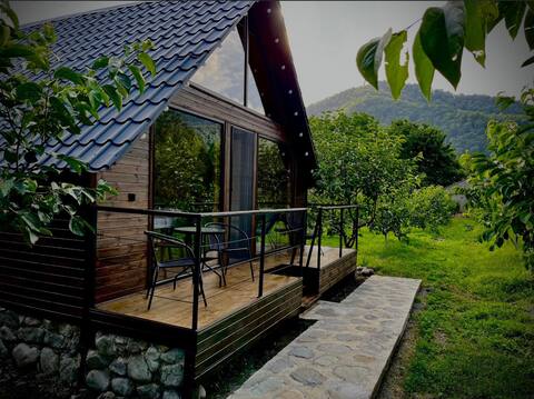 Wood House Lagodekhi Villa