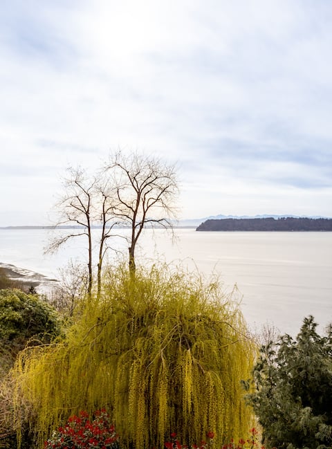 Amazing Sound View - GuestHouse (2 Bedrooms)