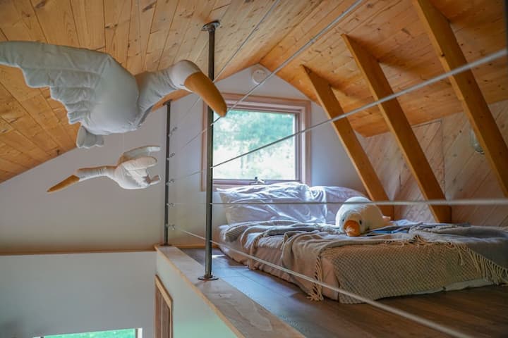 Área de la habitación