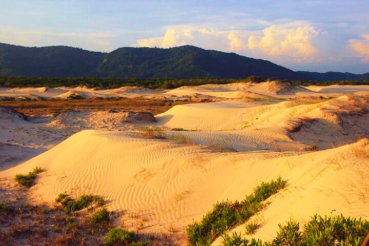 The landscape features expansive sand dunes, gently shaped by the wind. Low vegetation sprinkles the sandy surface, contrasting with the surrounding mountainous backdrop. The sky displays soft hues of blue and gold, suggesting a serene atmosphere during sunset.