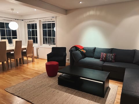 Spacious apartment with an iconic view