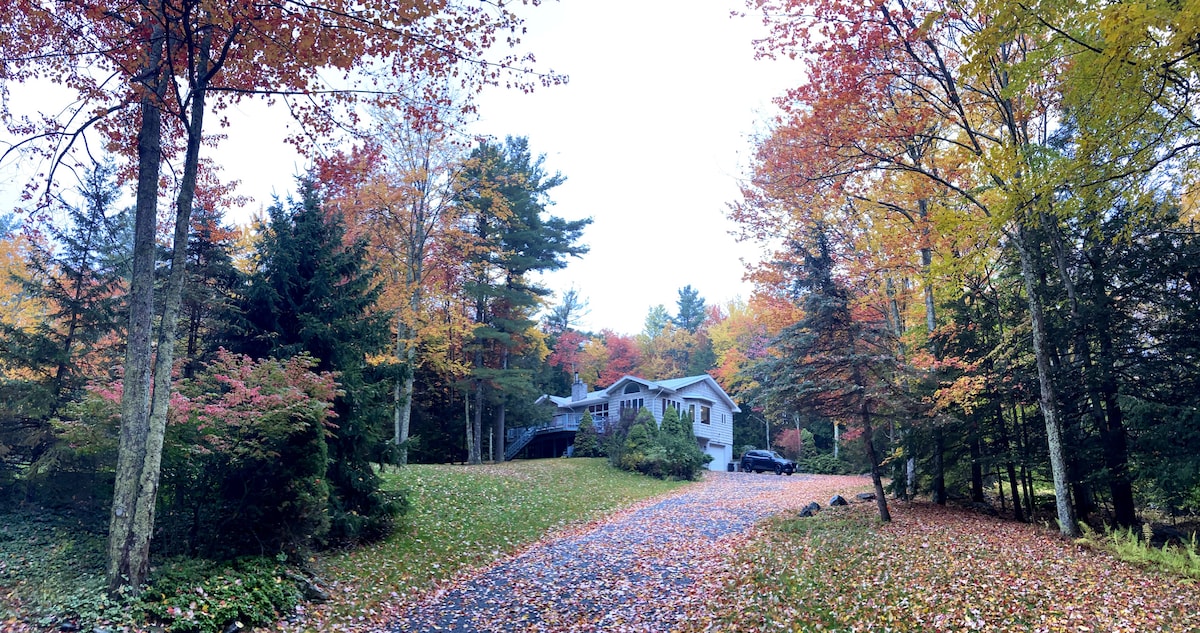 A charming home is nestled among vibrant autumn foliage, with colorful leaves covering the ground. A gravel driveway leads to the entrance, flanked by trees and shrubs that add to the serene setting. The house is partially visible through the surrounding greenery.