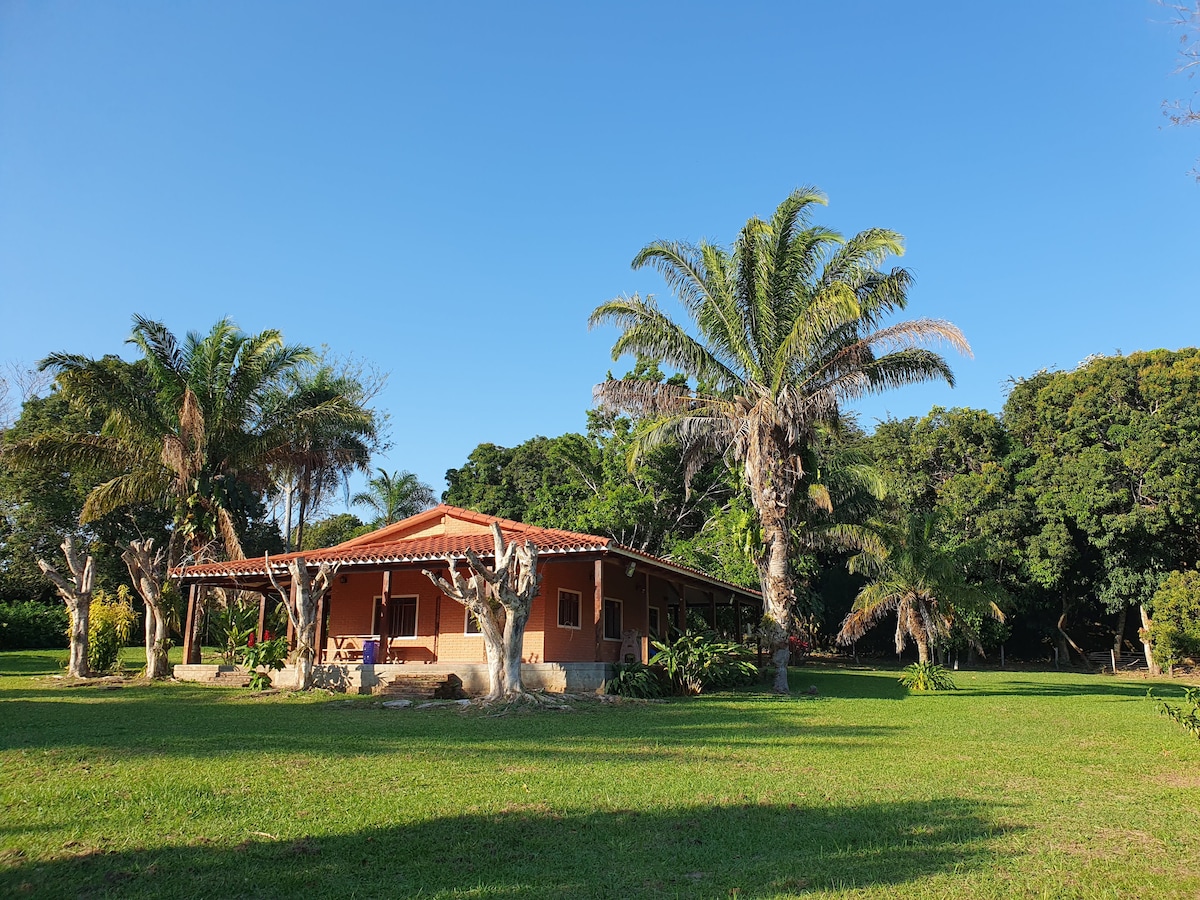 A single-story house is surrounded by lush green grass and palm trees, with a terracotta-colored exterior and a red-tiled roof. A spacious porch extends across the front, providing a shaded area for relaxation amid a natural setting.
