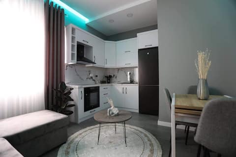 Renovated Apt Centrally Located