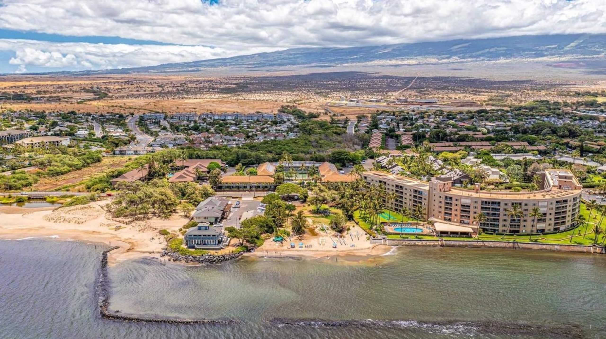Condo in Kihei · ★4.87 · 1 bedroom · 1 bed · 1 bath - Image 4