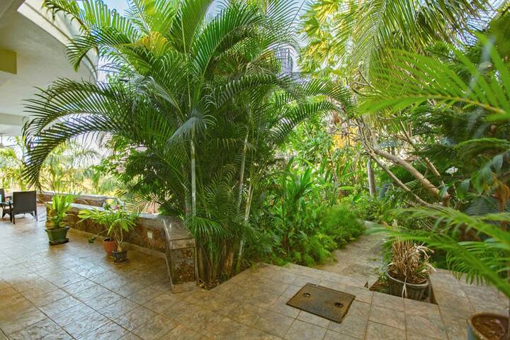 Patio image 1
