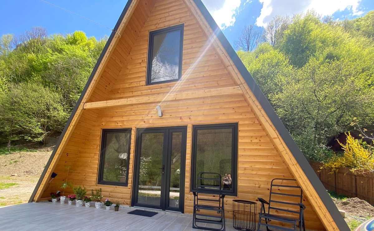 A charming A-frame cabin is showcased with a wooden exterior, complemented by large windows that invite natural light. An outdoor patio area is visible, surrounded by greenery and potted plants. Functional seating options are arranged for relaxation.