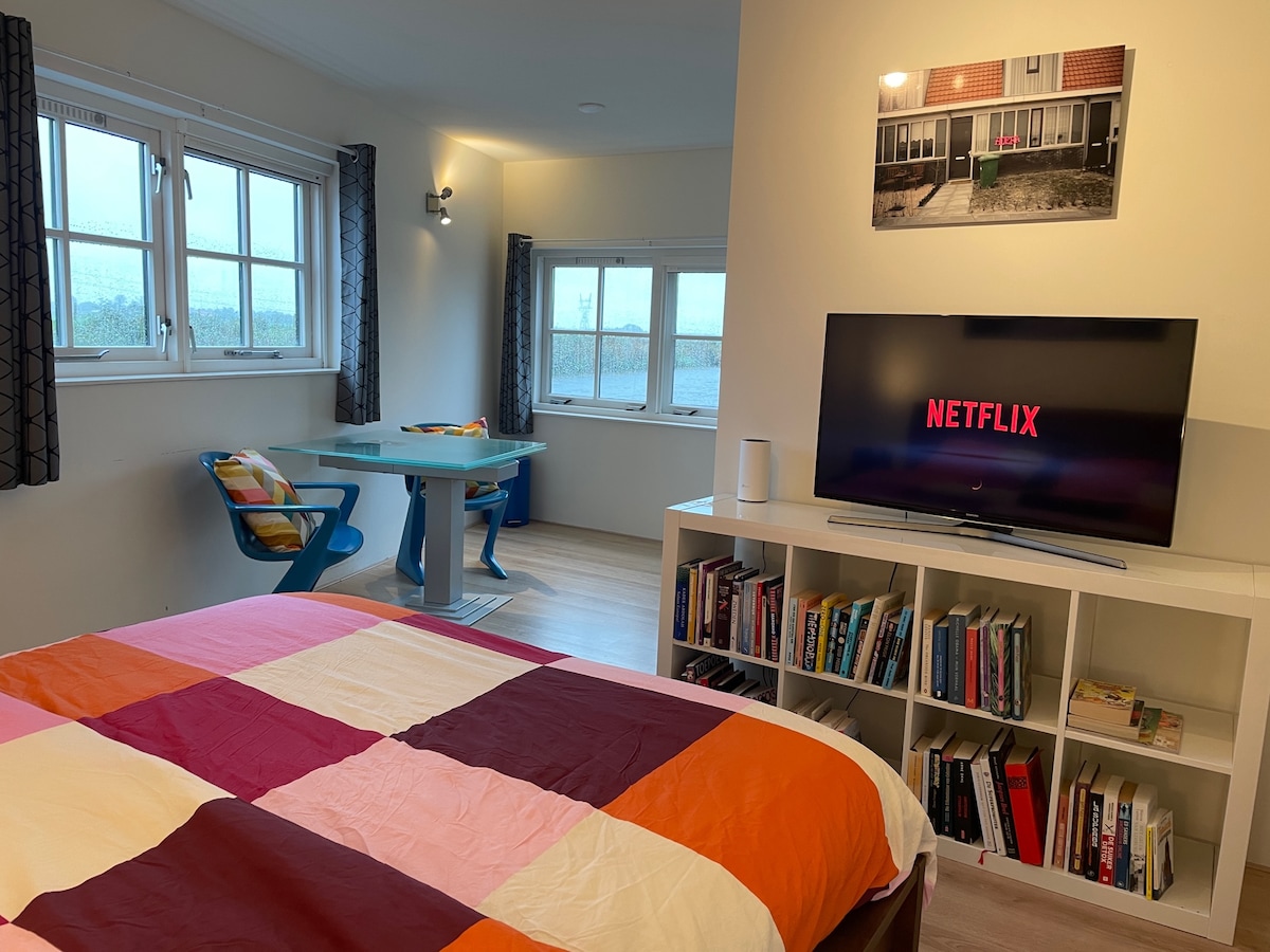 A spacious bedroom is presented, featuring a large bed with a colorful quilt. A TV displaying a streaming service is positioned on a white shelf filled with books. A dining table with blue chairs is situated near a window, providing natural light.