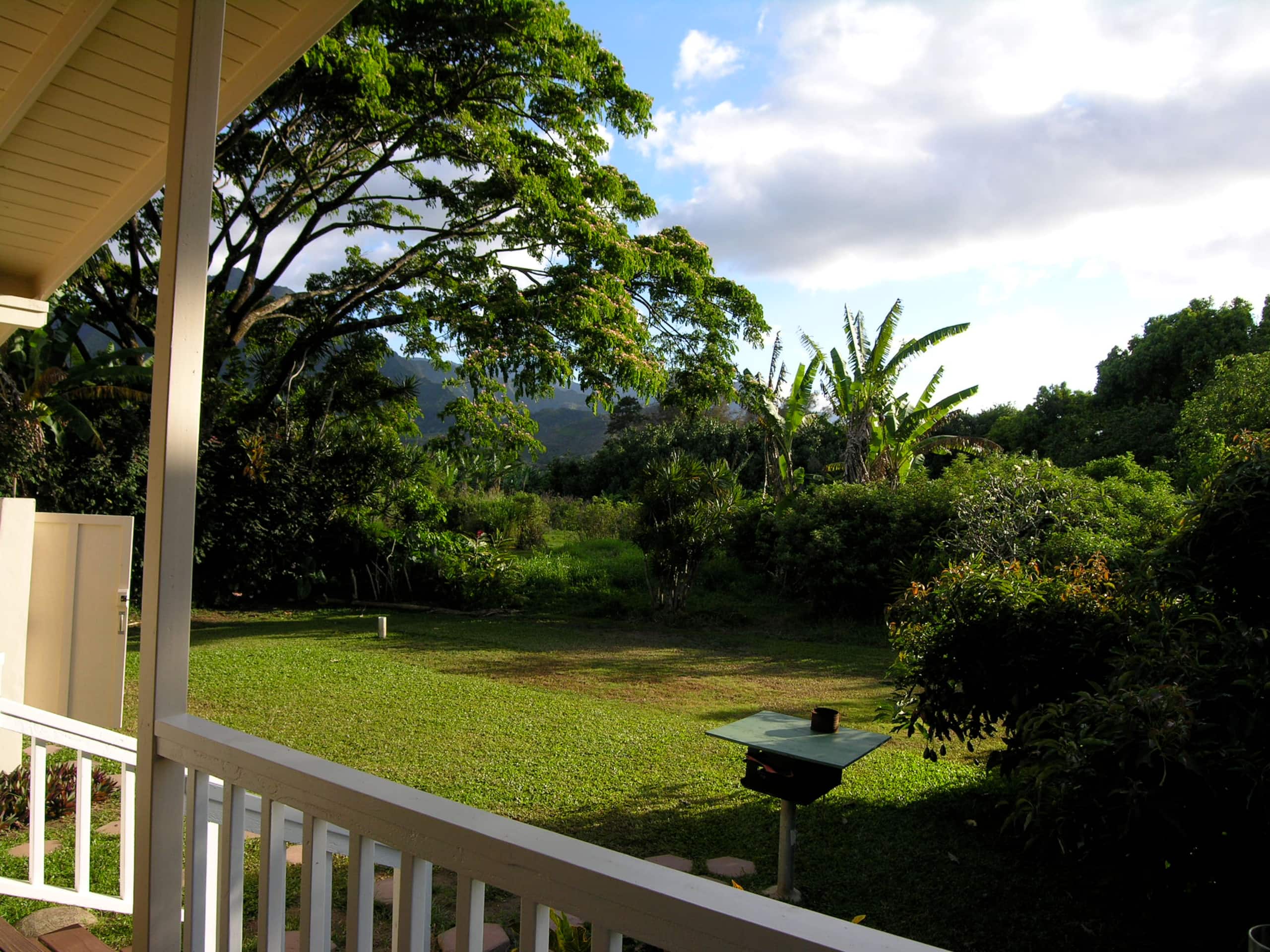 Home in Hanalei · ★4.89 · 2 bedrooms · 2 beds · 1 bath - Image 8