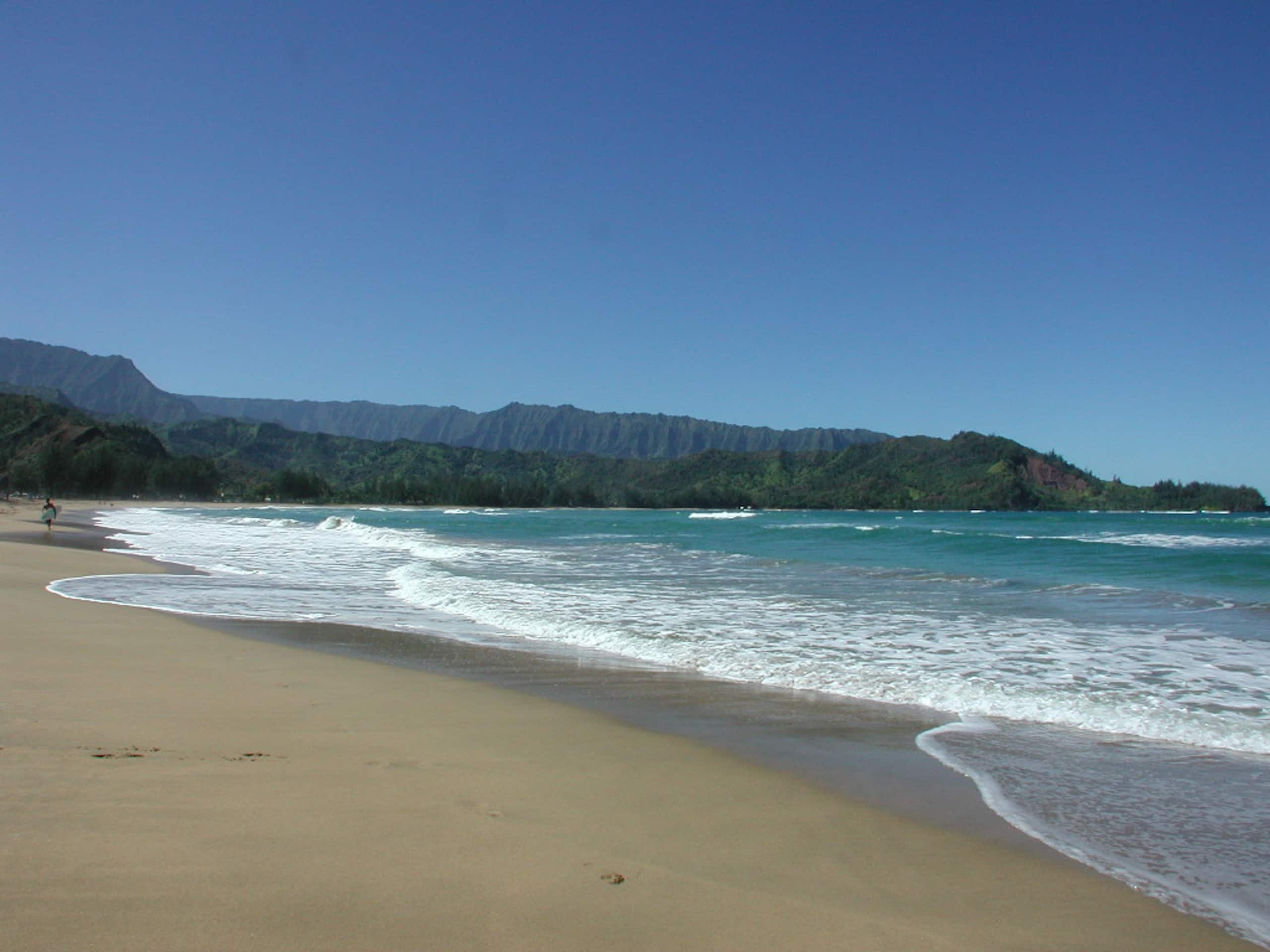 Home in Hanalei · ★4.89 · 2 bedrooms · 2 beds · 1 bath - Image 12