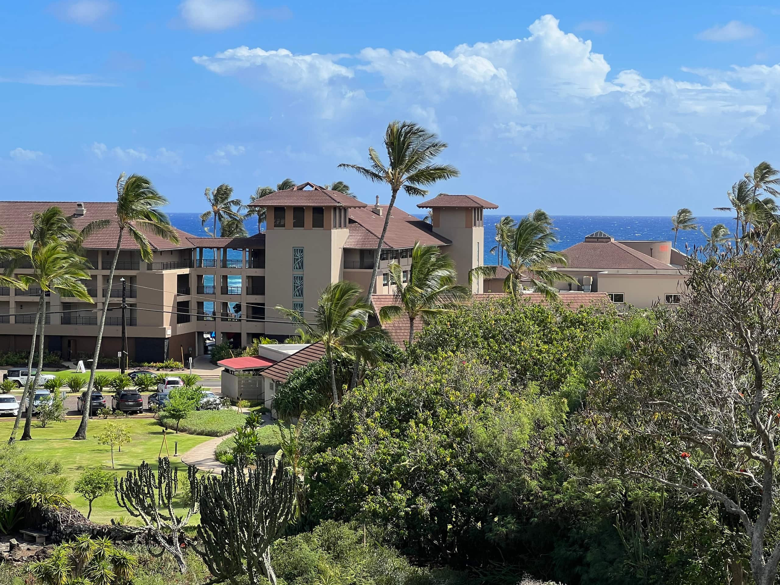 Mahalo 66 Skyview - Image 12