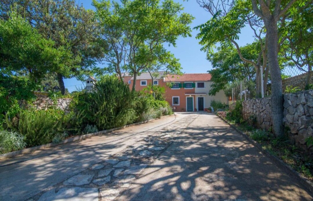 A winding pathway leads through lush greenery and scattered trees, guiding toward a vibrant multi-colored building. The entrance is framed by natural vegetation, creating a serene and inviting approach to the property.