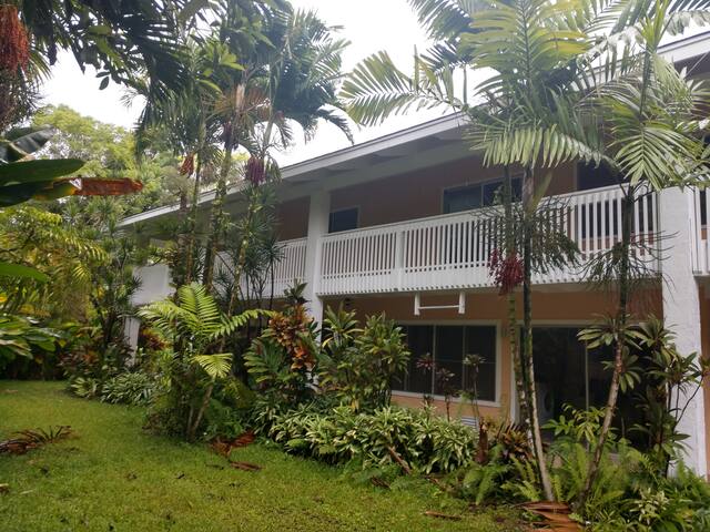 Hokulele Hale – steps to the beach TVR 4188 gallery image 3