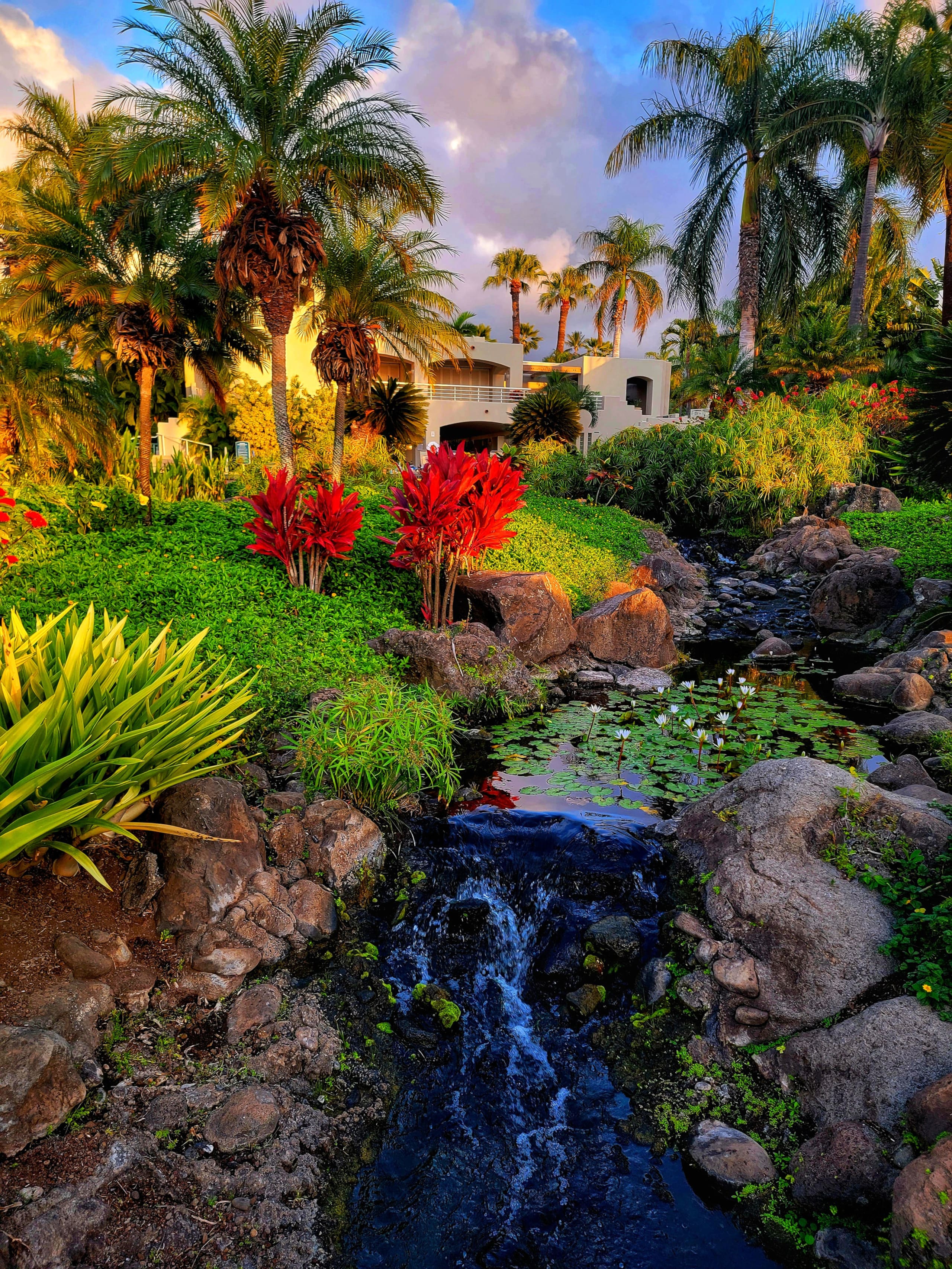 Fully Remodeled Elegance in Wailea 2 Bed 2 Bath - Image 37