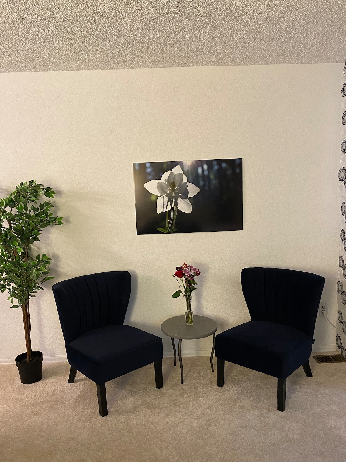 Popular Airbnb listing: Spacious Studio Bedroom in Gunbarrel