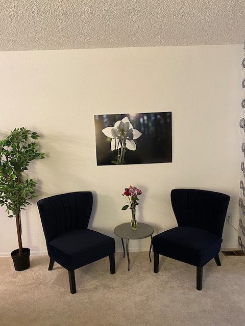 Popular Airbnb listing: Spacious Studio Bedroom in Gunbarrel