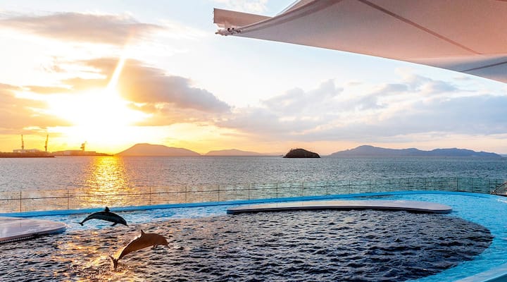 限定品　国産杉100％　星◯リゾート風　新築高級ネコハウスB棟 築100年超の国の登録有形文化財・一棟貸ゲストハウス檜の家