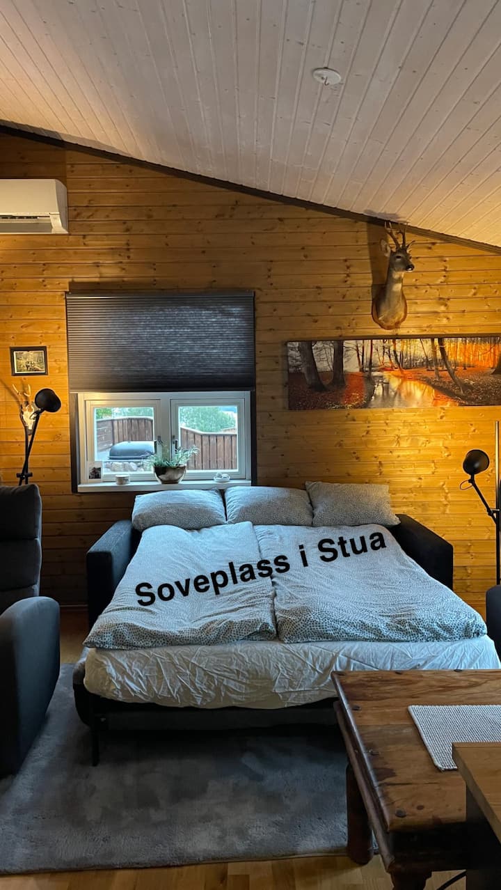 リビングルームに可能なベッド