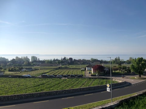 In the heart of the vineyards