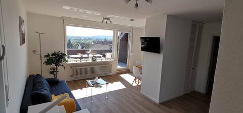 2-room apartment with balcony and Taunus view
