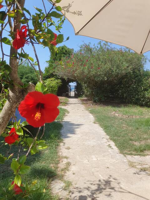 Villa Caterina, un incanto con giardino sul mare