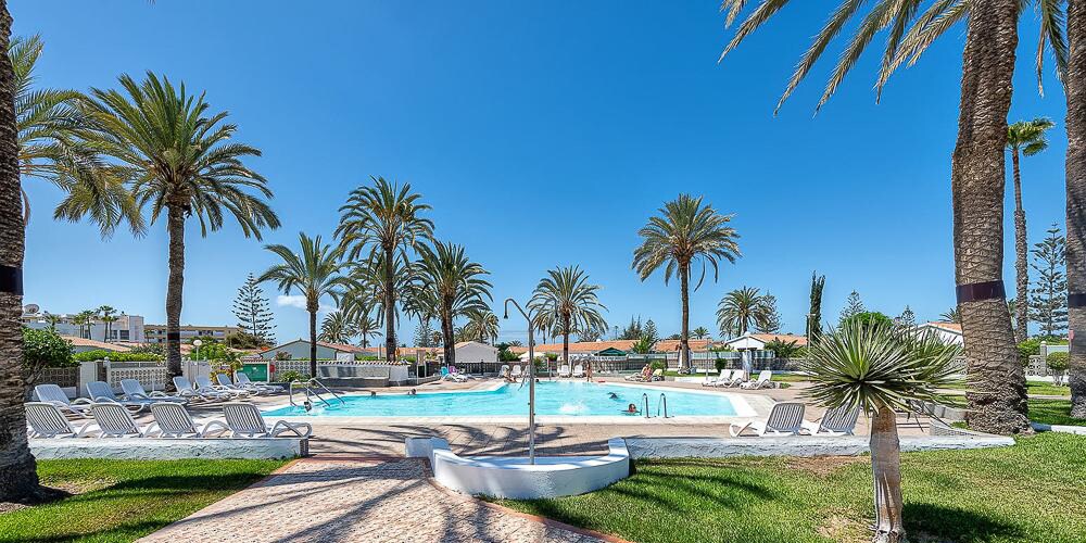 A spacious swimming pool is surrounded by neatly arranged sun loungers and palm trees. The clear blue sky highlights the inviting water, while well-maintained landscaping adds to the serene setting. The area reflects a calm atmosphere suitable for relaxation.