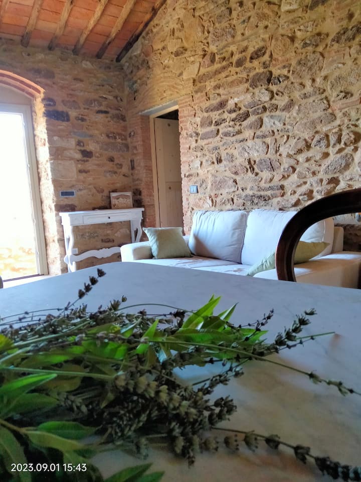 Chambre 1