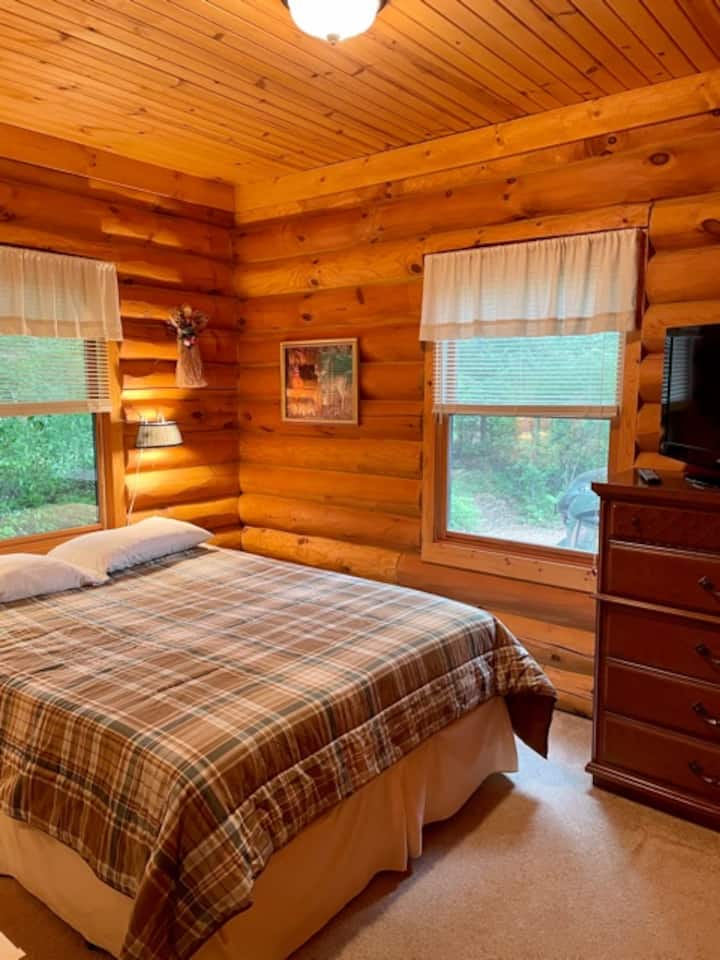 Chambre Queen au niveau principal avec placard, commodes, TV et Roku