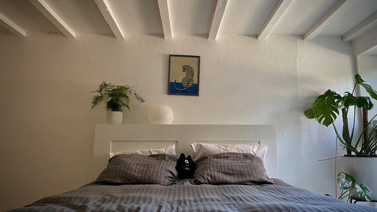 საძინებელი ორადგილიანი საწოლით და დიდი საგარდერობო გარდერობით. Პირდაპირ სააბაზანოში. 