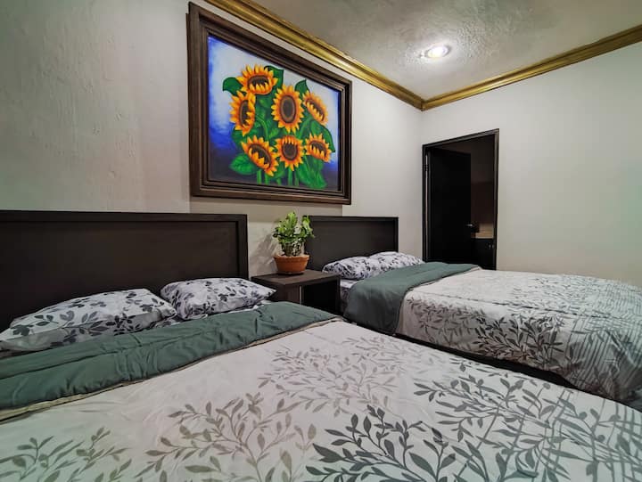 Private Room (Hostal Ixchel) Apartments for Rent in Valladolid