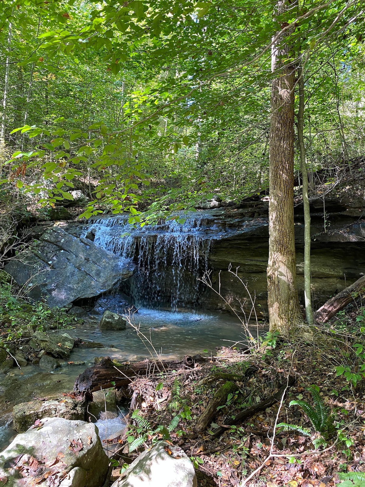 A tranquil waterfall cascades over a rocky ledge, surrounded by lush greenery and trees. Sunlight filters through the leaves, illuminating the flowing water as it splashes into a shallow pool below. The natural landscape conveys a serene and peaceful setting.