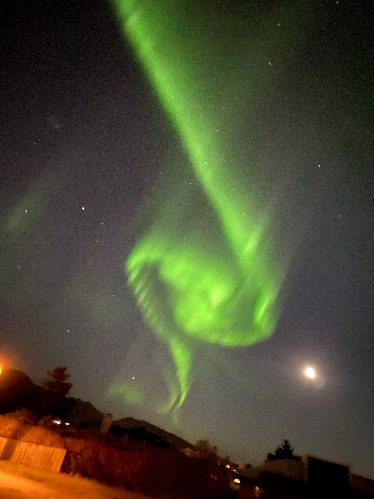 A vibrant display of the Northern Lights is depicted, with green hues swirling against a dark night sky filled with stars. A faint light from the moon is visible, adding to the ethereal quality of the scene. The landscape below is dimly lit.