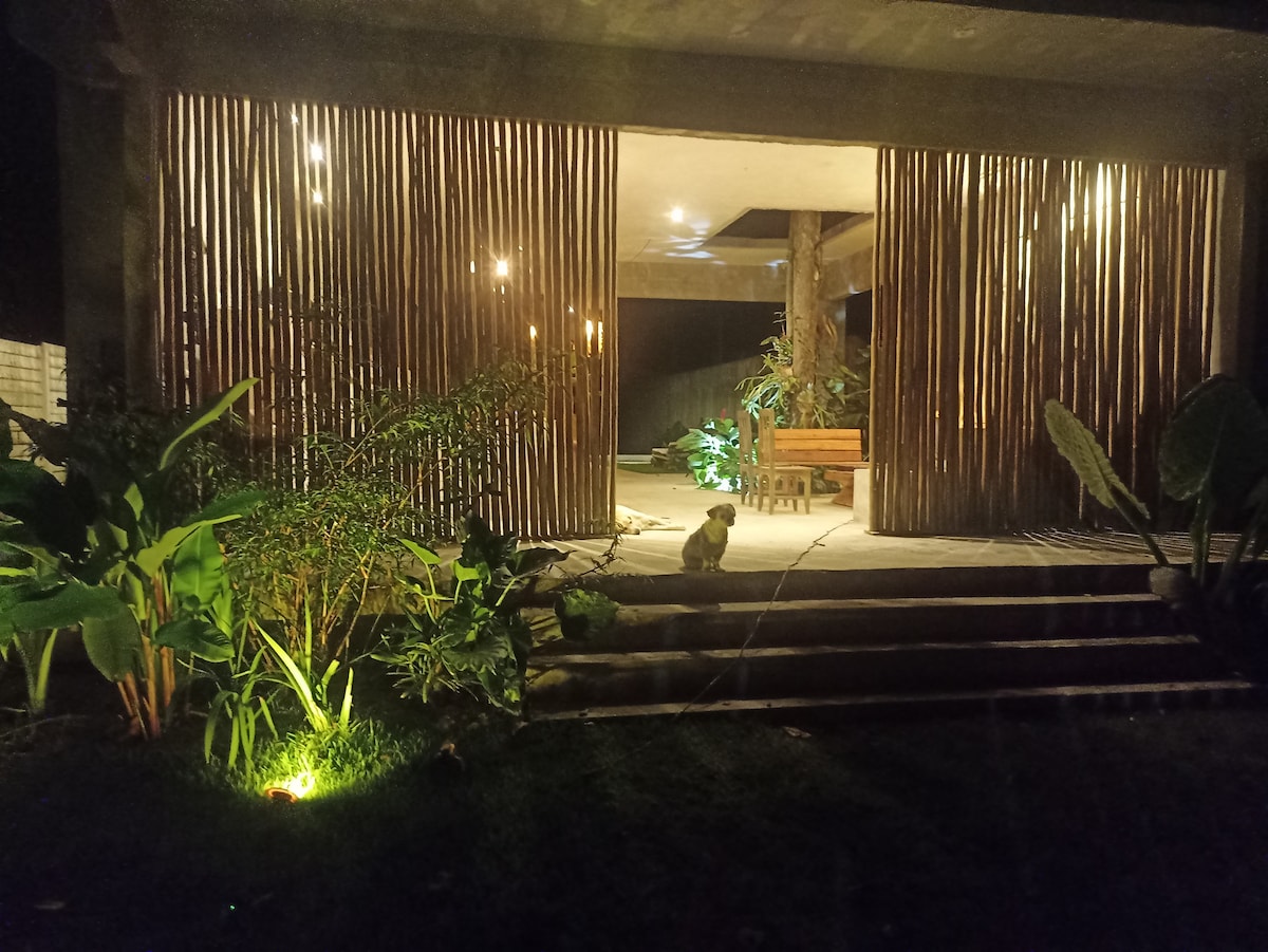 A modern entrance is framed by bamboo paneling, providing a blend of openness and privacy. Soft lighting illuminates the steps, while lush greenery and a small pet enhance the welcoming natural surroundings.
