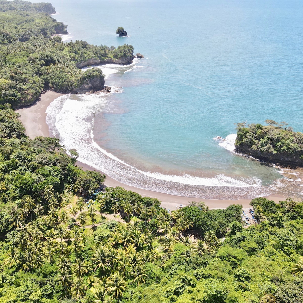 Aerial view captures a tranquil coastline surrounded by lush greenery. A sandy beach curves gently along the shore, meeting the calm blue waters. Dense palm trees dot the landscape, providing a sense of natural beauty and tranquility.