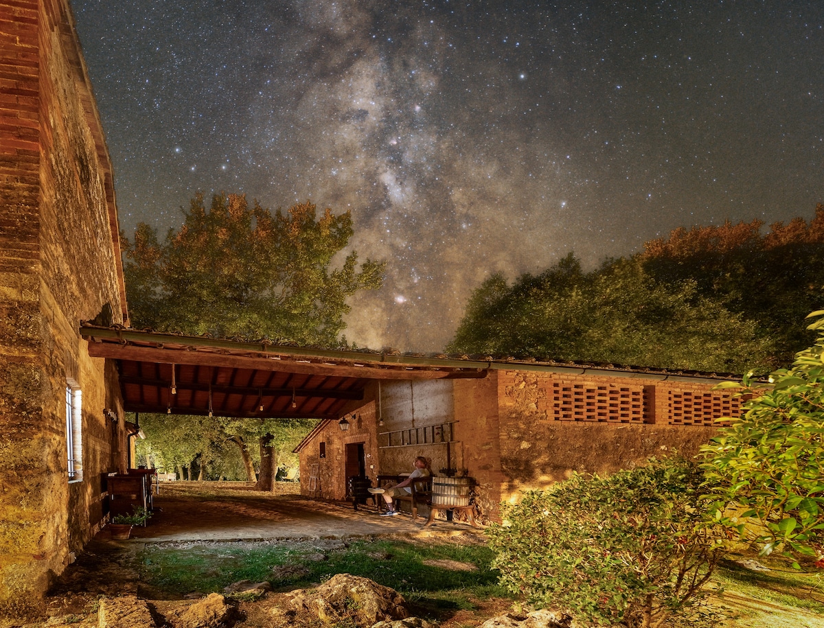 A rustic building is seen under a starry night sky, with a partial roof providing shelter. Soft light glows from the interior, illuminating the entrance. Lush greenery and trees surround the scene, adding depth to the serene nighttime landscape.