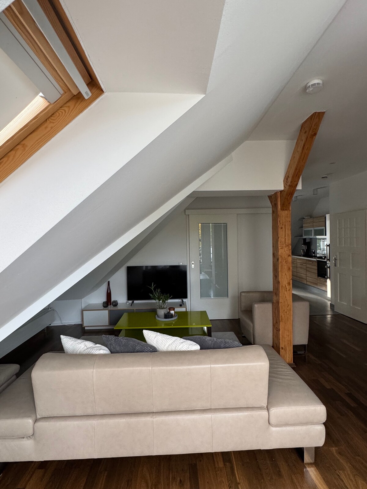 Successful Airbnb property: Villa in Dresden-Kleinzschachwitz in Dresden