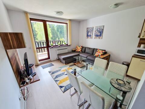 Sunny Apartment C25