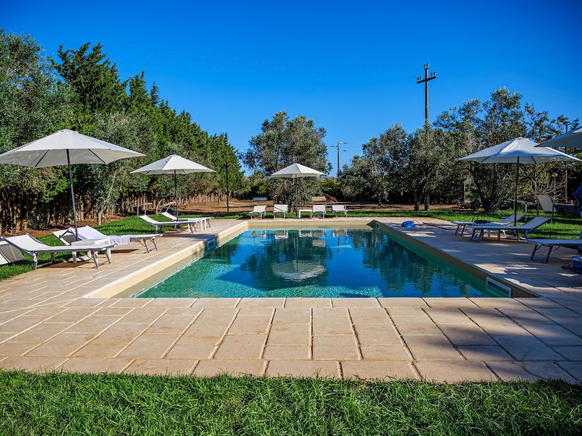 A serene outdoor area is highlighted by a modern swimming pool, surrounded by lush green grass. Several lounge chairs and umbrellas are positioned nearby, offering shade. Olive trees provide a natural border, complementing the tranquil atmosphere of the space.