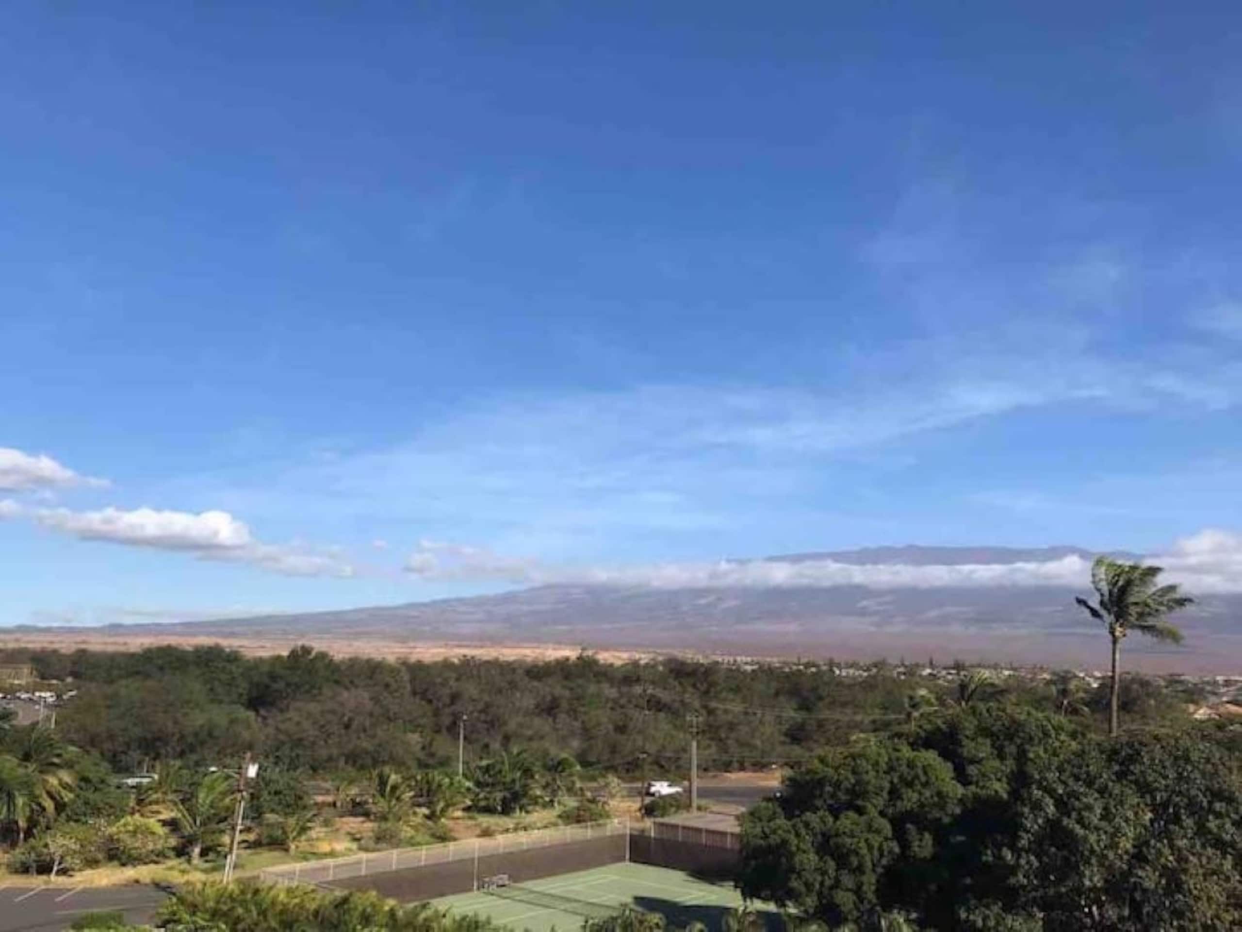 Condo in Kihei · ★4.93 · 1 bedroom · 3 beds · 2 baths - Image 38
