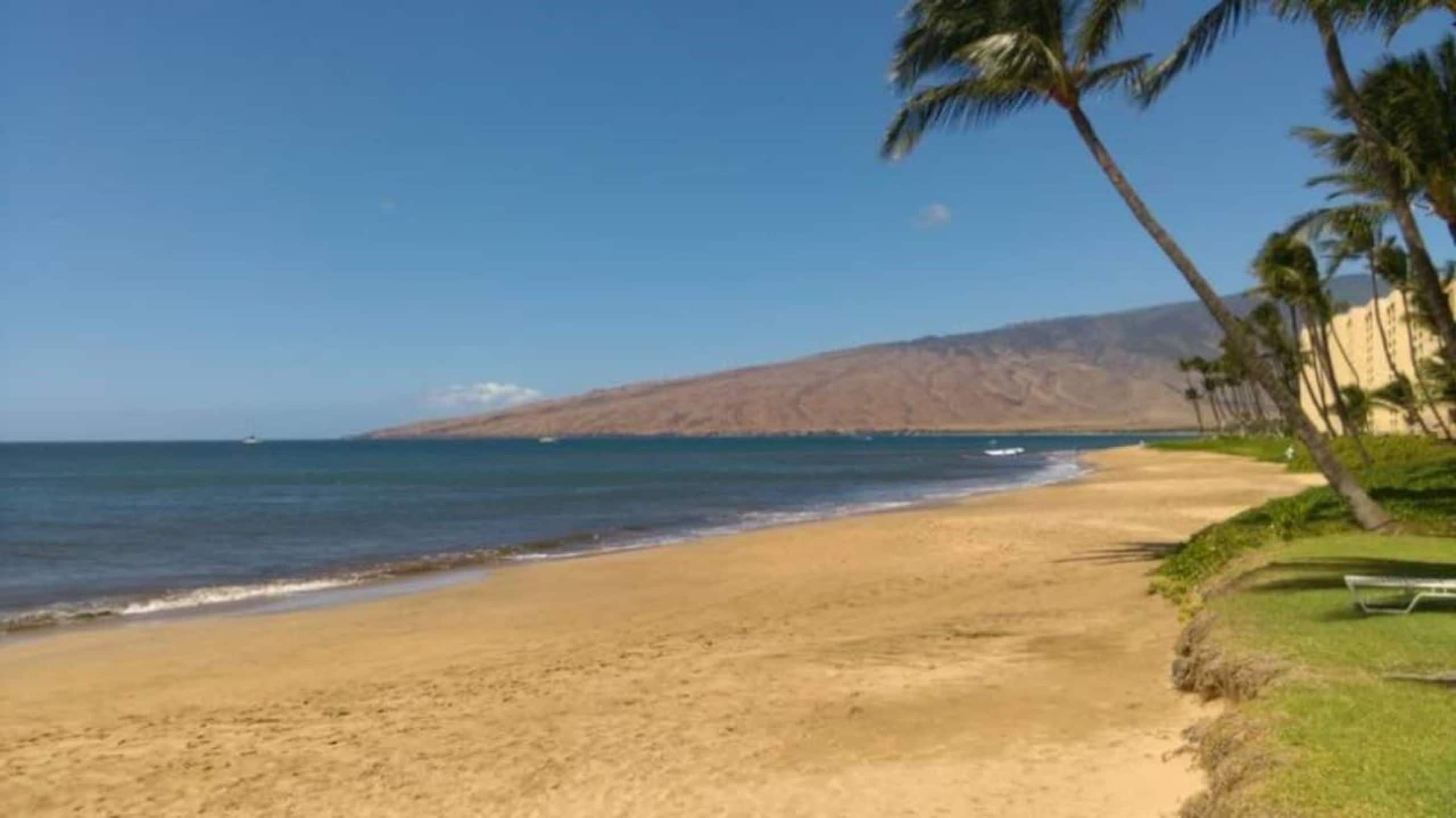 Condo in Kihei · ★4.93 · 1 bedroom · 3 beds · 2 baths - Image 30
