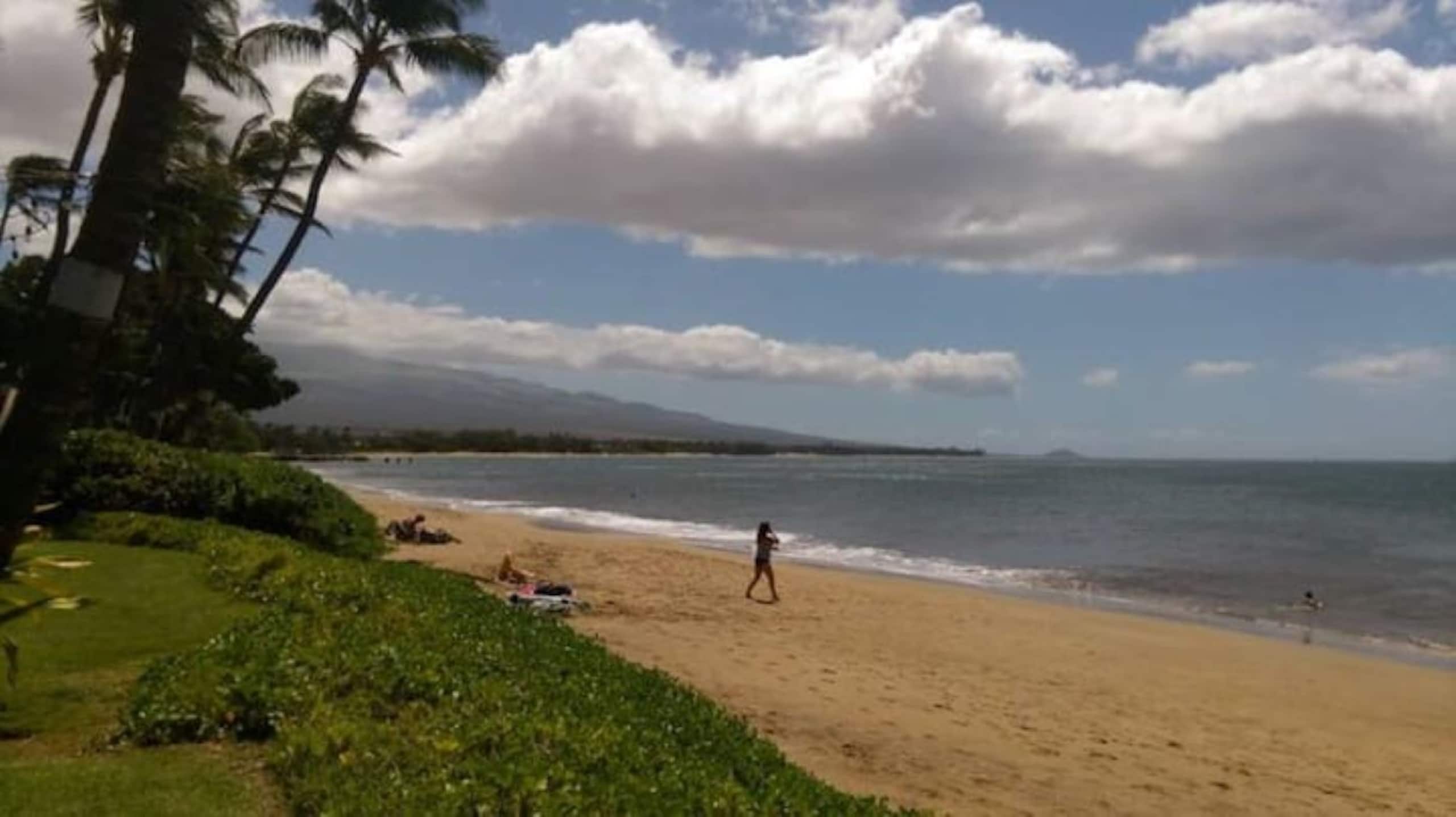 Condo in Kihei · ★4.93 · 1 bedroom · 3 beds · 2 baths - Image 31