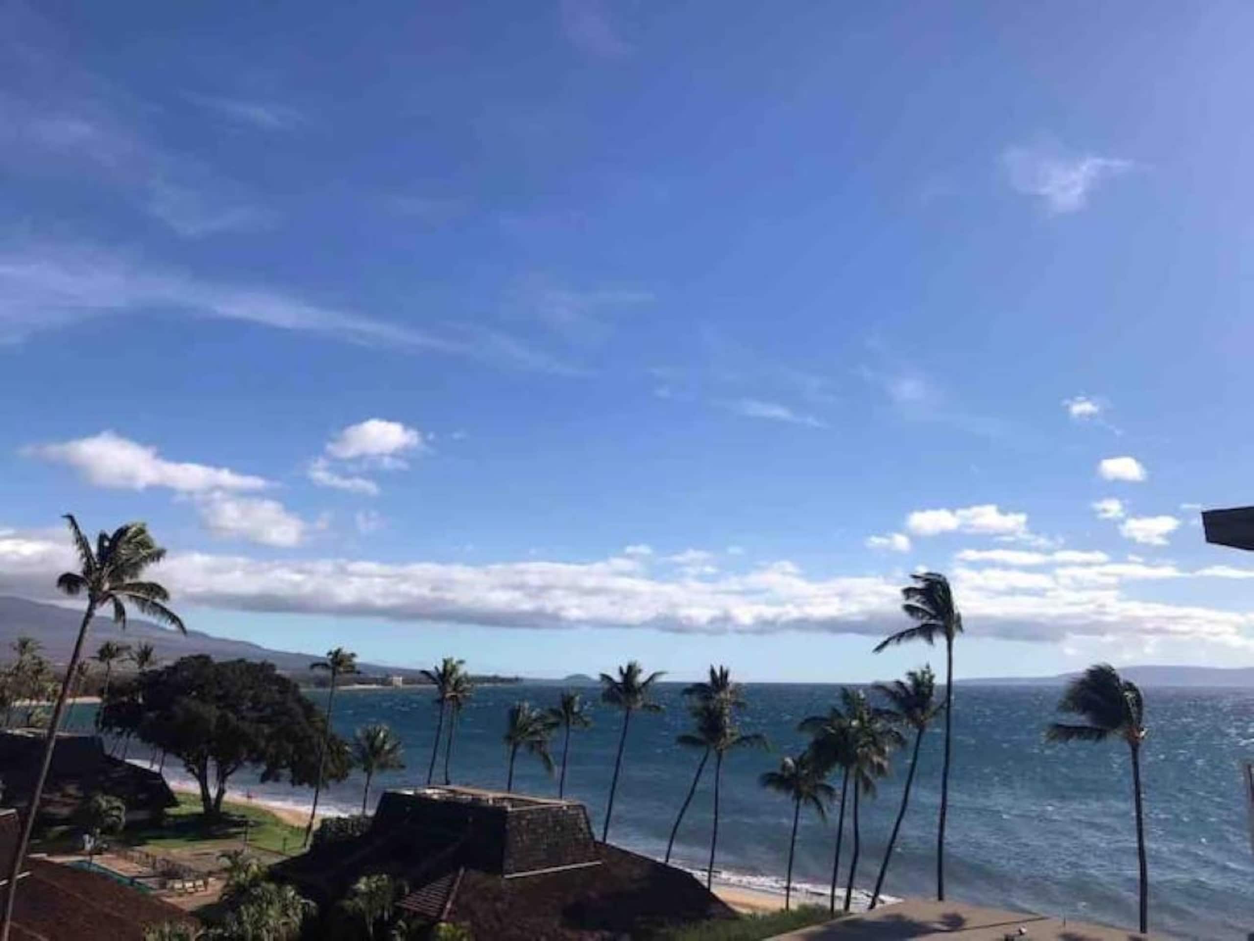 Condo in Kihei · ★4.93 · 1 bedroom · 3 beds · 2 baths - Image 37
