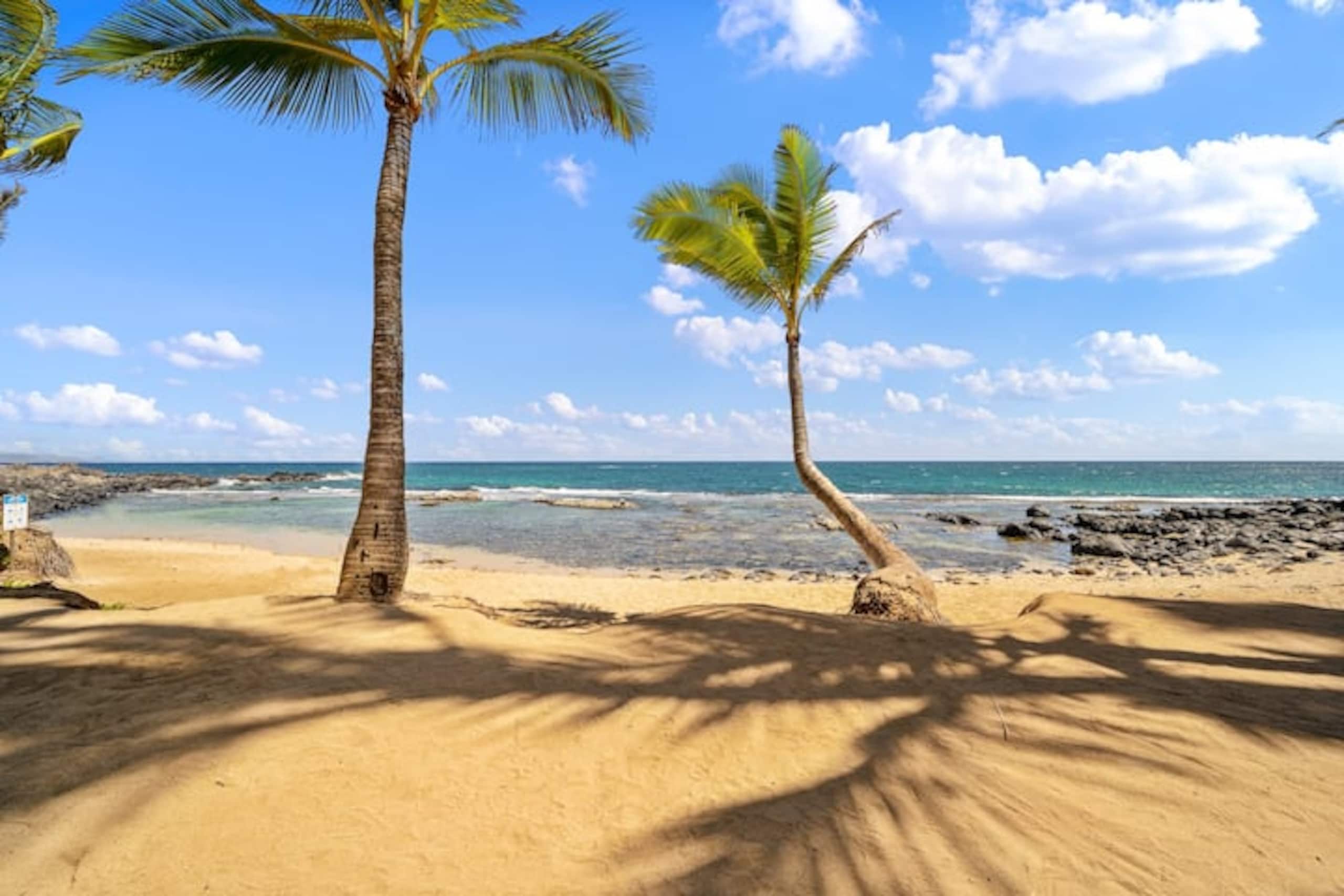 Pa'ia Bliss (see Visit Paradise for 5 more guests) - Photo 20