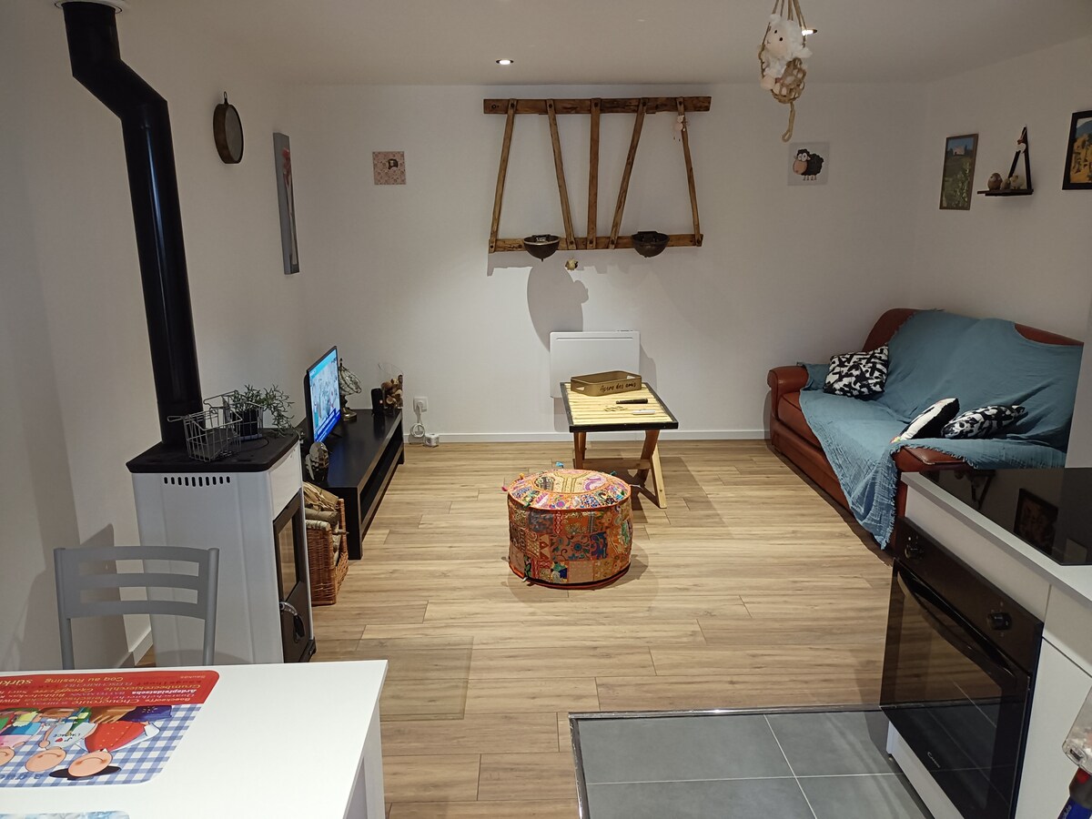 A comfortable living area is showcased, featuring a rustic wooden wall shelf and a cozy red couch draped with a blue throw. A colorful pouf sits in the center, while a small TV and a sleek black media console are present. Natural light enhances the warm wood flooring.