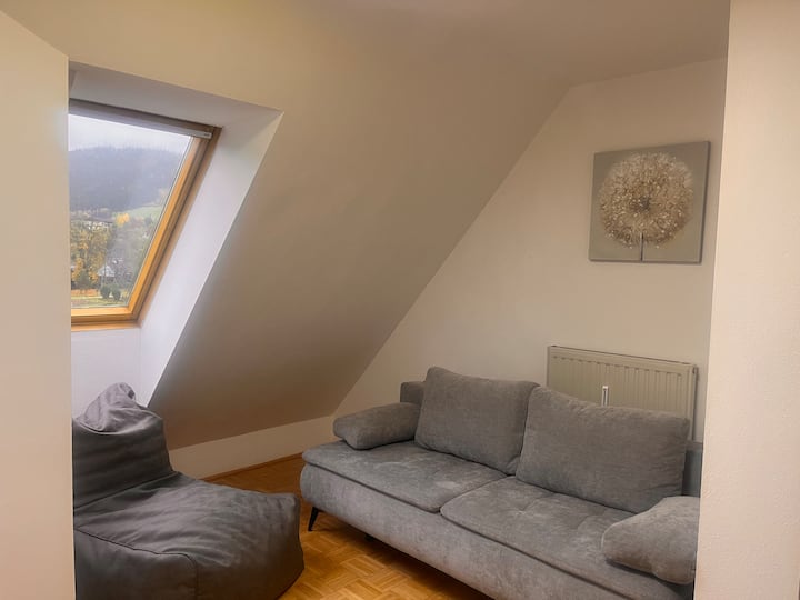 ห้องทางเดินพร้อมโซฟาแบบดึงออกได้