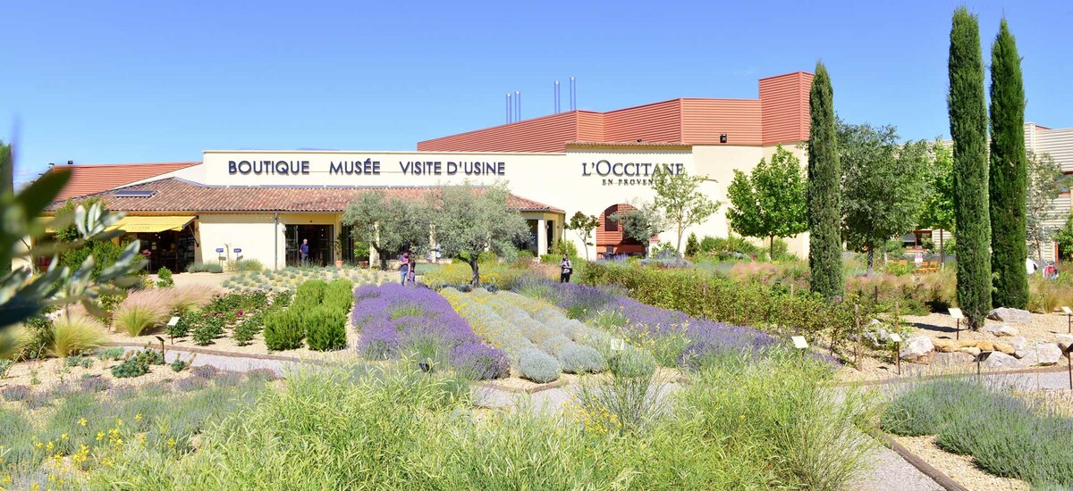 A bright exterior of the L'Occitane facility features a landscaped garden with rows of lavender and aromatic plants. Two visitors are seen walking along pathways. The building presents a rustic charm with earthy tones and a tiled roof, complemented by tall cypress trees.