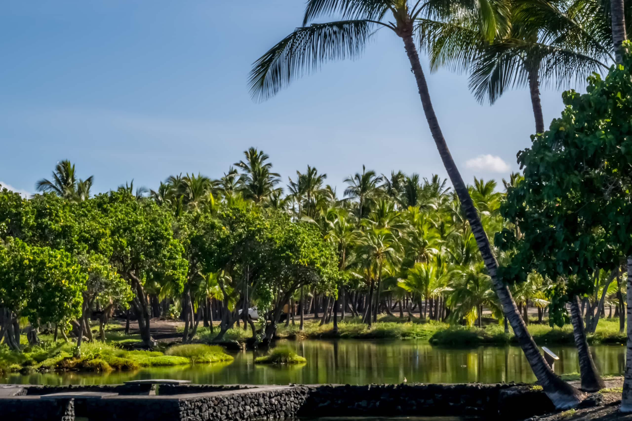 Townhouse in Waimea · ★4.94 · 2 bedrooms · 3 beds · 2.5 baths - Image 34