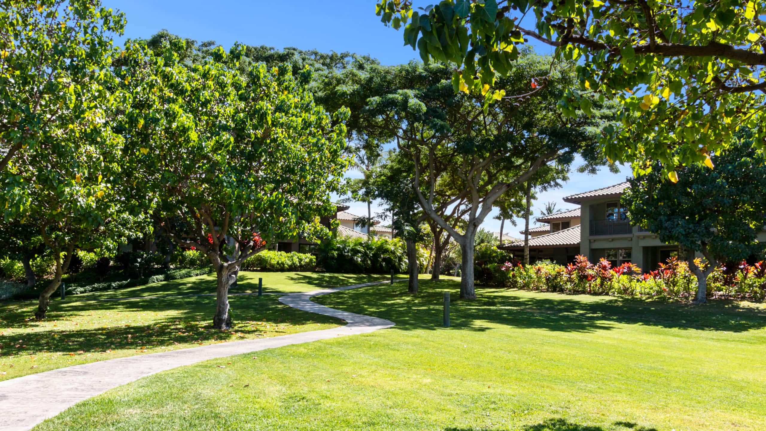 Townhouse in Waimea · ★4.94 · 2 bedrooms · 3 beds · 2.5 baths - Image 40